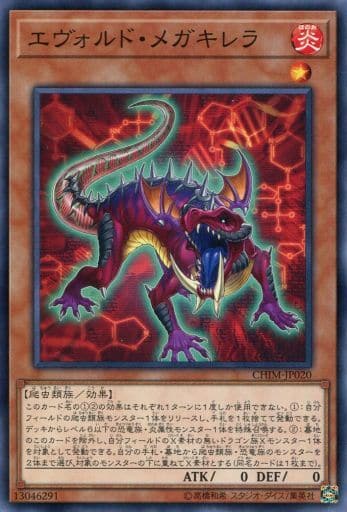 [N] CHIM-JP020 エヴォルド・メガキレラ