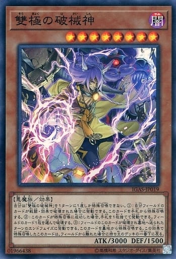 [SR] IGAS-JP019 雙極の破械神