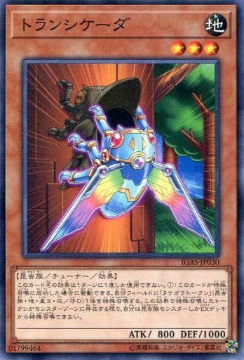 [N] IGAS-JP030 トランシケーダ