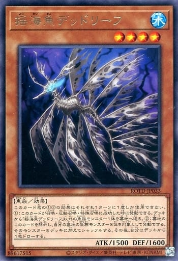 [R] ROTD-JP033 揺海魚デッドリーフ