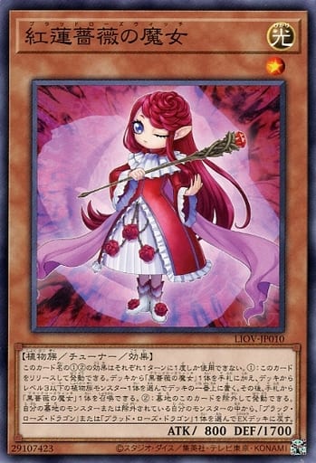 [N] LIOV-JP010 紅蓮薔薇の魔女