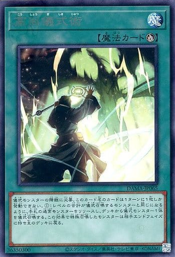 [R] DAMA-JP065 高尚儀式術