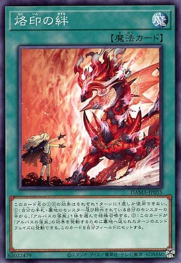[N] DAMA-JP055 烙印の絆