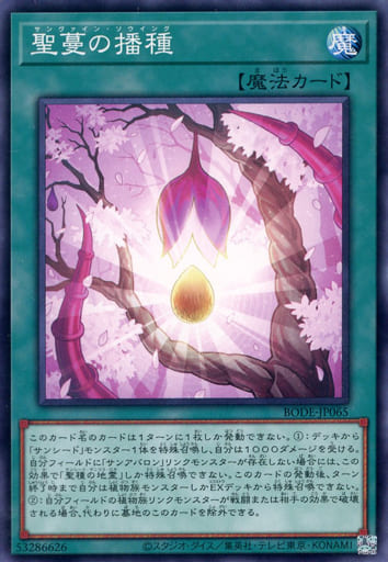 [N] BODE-JP065 聖蔓の播種