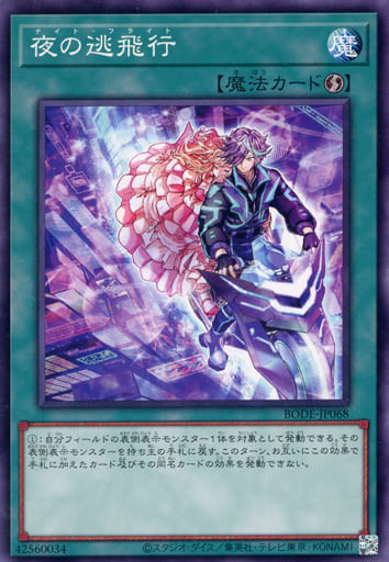 [N] BODE-JP068 夜の逃飛行