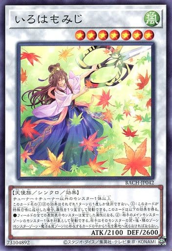 [N] BACH-JP042 いろはもみじ