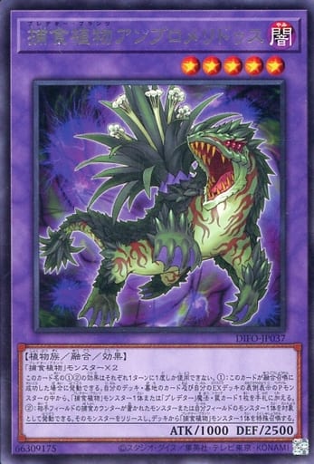 [R] DIFO-JP037 捕食植物アンブロメリドゥス