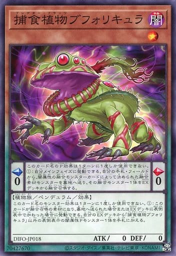 [N] DIFO-JP018 捕食植物ブフォリキュラ