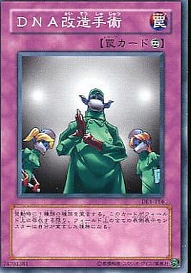 [N] DL1-114 DNA改造手術