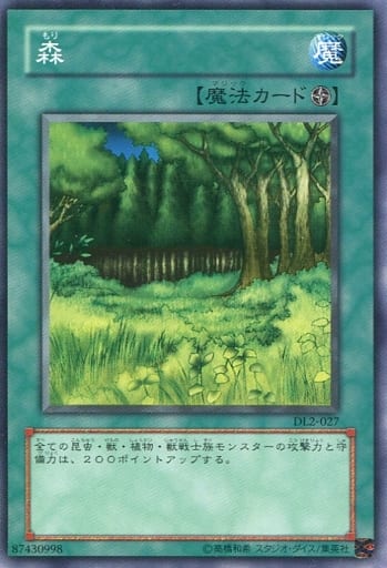 [N] DL2-027 森