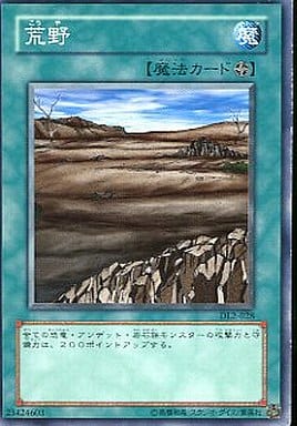 [N] DL2-028 荒野