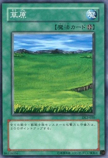 [N] DL2-030 草原