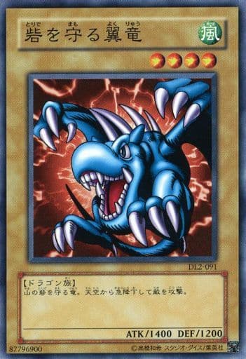 [N] DL2-091 砦を守る翼竜