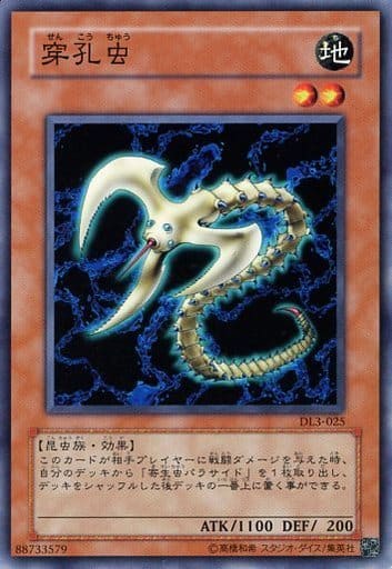 [N] DL3-025 穿孔虫
