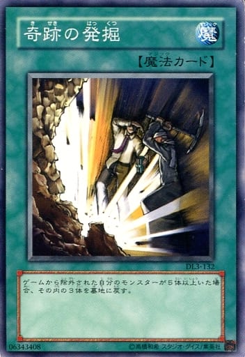 [N] DL3-132 奇跡の発掘