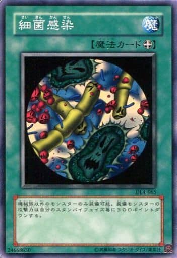 [N] DL4-065 細菌感染