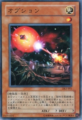 [N] DL5-051 オプション
