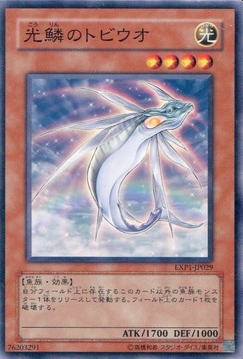 [N] EXP1-JP029 光鱗のトビウオ