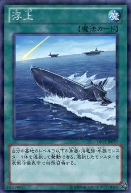[P-N] DP15-JP025 浮上