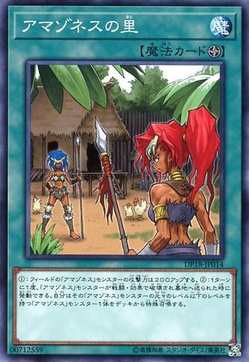[N] DP18-JP014 アマゾネスの里