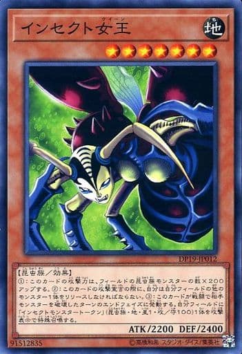 [N] DP19-JP012 インセクト女王