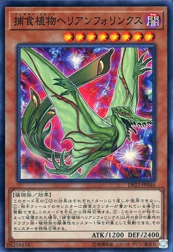 [SR] DP22-JP046 捕食植物ヘリアンフォリンクス
