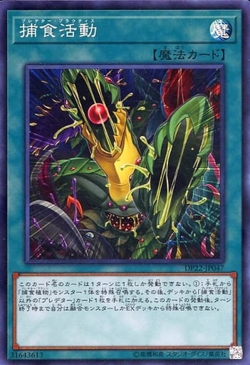 [SR] DP22-JP047 捕食活動