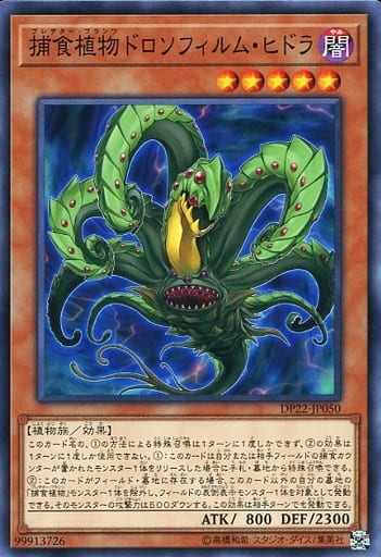 [N] DP22-JP050 捕食植物ドロソフィルム・ヒドラ