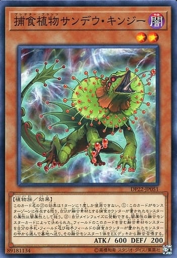 [N] DP22-JP051 捕食植物サンデウ・キンジー