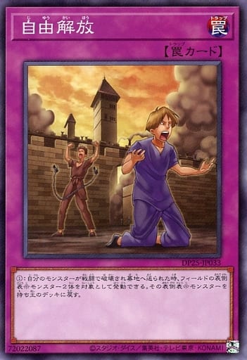 [N] DP25-JP033 自由解放
