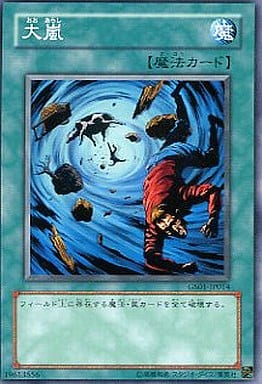 [N] GS01-JP014 大嵐