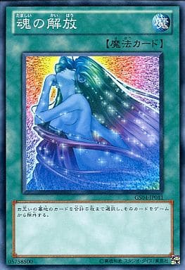 [N] GS04-JP011 魂の解放