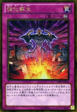 [GSE] GS06-JP016 強化蘇生