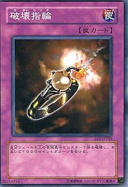 [N] EE2-JP102 破壊指輪