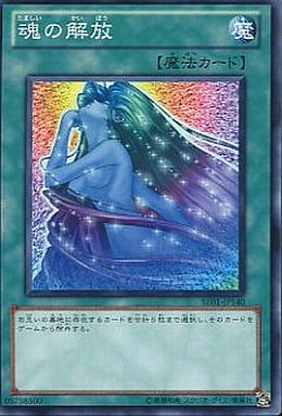 [N] BE01-JP140 魂の解放