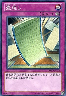 [N] DE01-JP110 畳返し