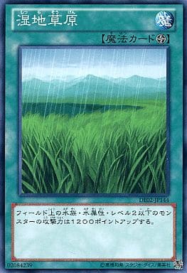 [N] DE02-JP144 湿地草原