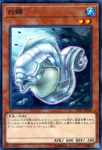 [N] CP17-JP018 白?