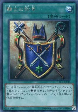 [SE] 15AX-JPY43 騎士の称号