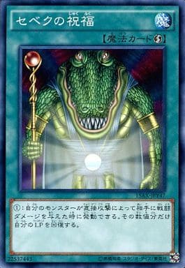 [N] 15AX-JPY47 セベクの祝福
