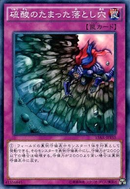 [N] 15AX-JPY55 硫酸のたまった落とし穴