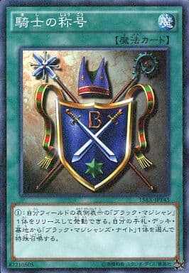 [M] 15AX-JPY43 騎士の称号