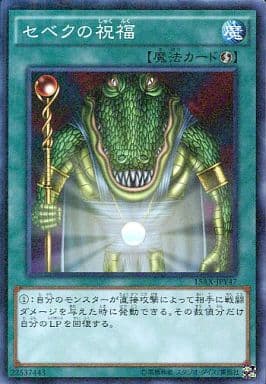[M] 15AX-JPY47 セベクの祝福