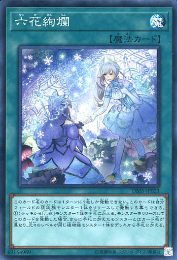 [SR] DBSS-JP023 六花絢爛