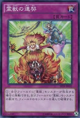 [SR] SPTR-JP032 霊獣の連契