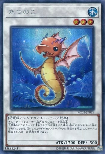 [SE] RC02-JP028 たつのこ