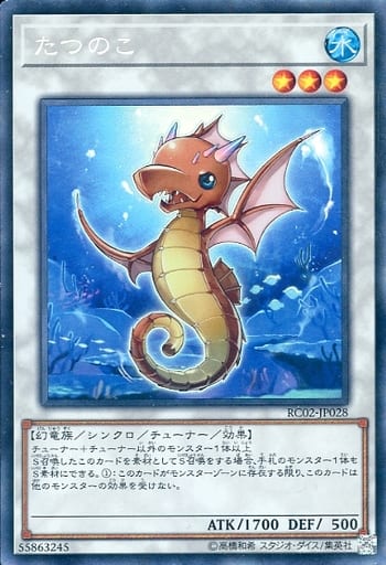 [CR] RC02-JP028 たつのこ