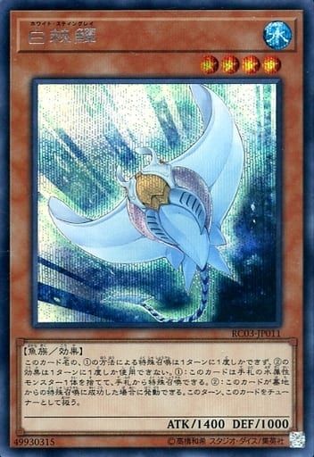 [SE] RC03-JP011 ホワイト・スティングレイ