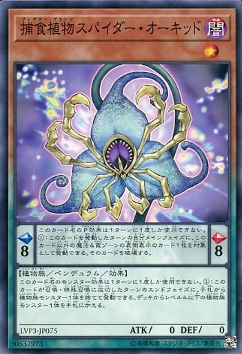 [N] LVP3-JP075 捕食植物スパイダー・オーキッド