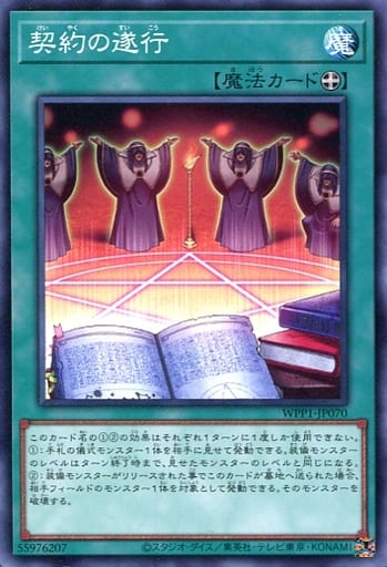 [N] WPP1-JP070 契約の遂行